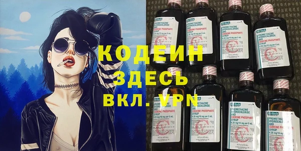 стаф Няндома