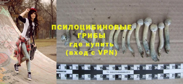 стаф Няндома